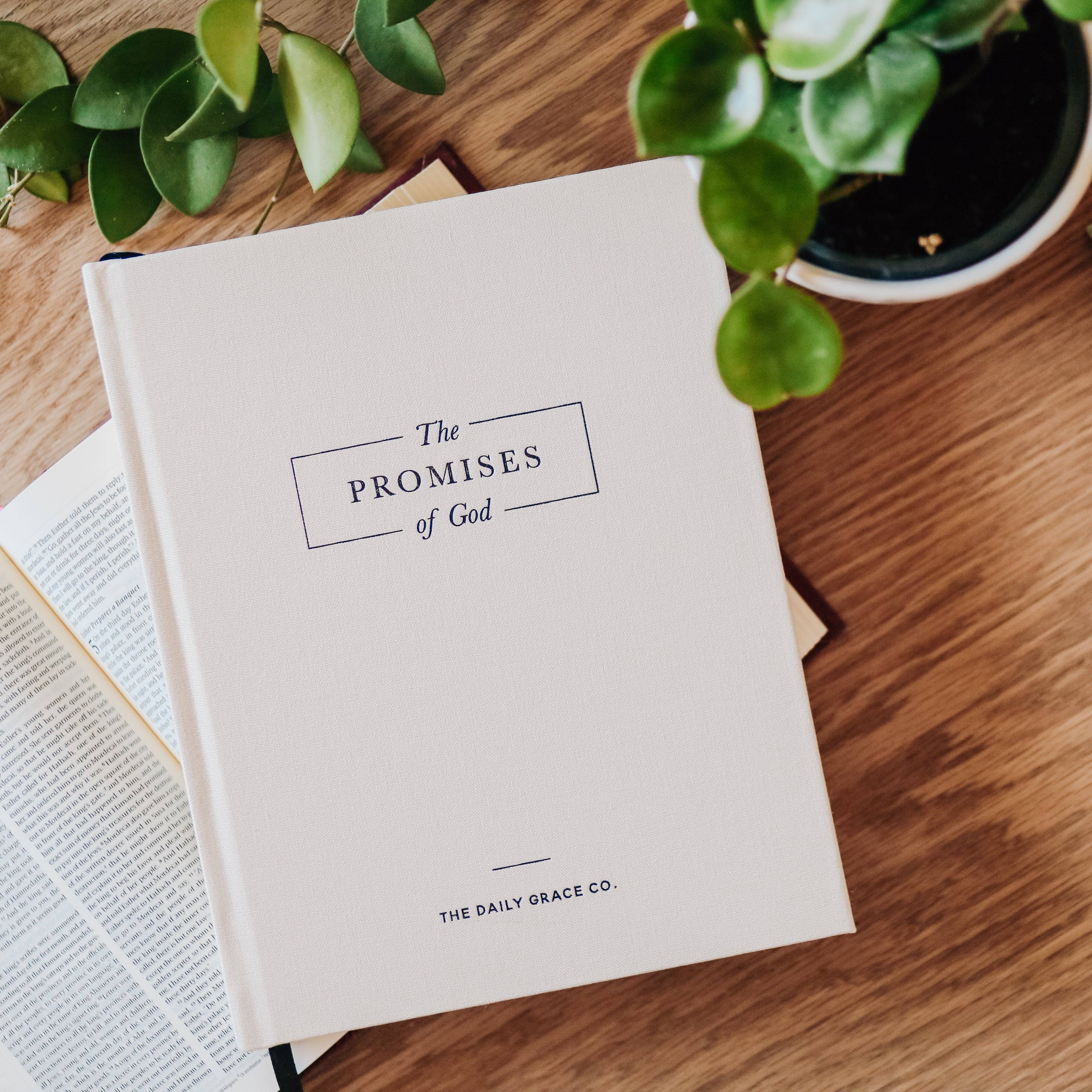 Coffee Table Books